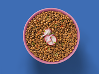 Load image into Gallery viewer, A delicious bowl of Peruvian Lentils Sofrito. 

